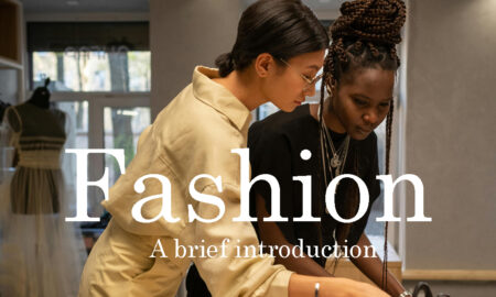 A brief introduction to fashion