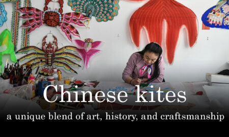 The beautiful world of Chinese kites