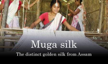 exotic golden Muga silk of Assam