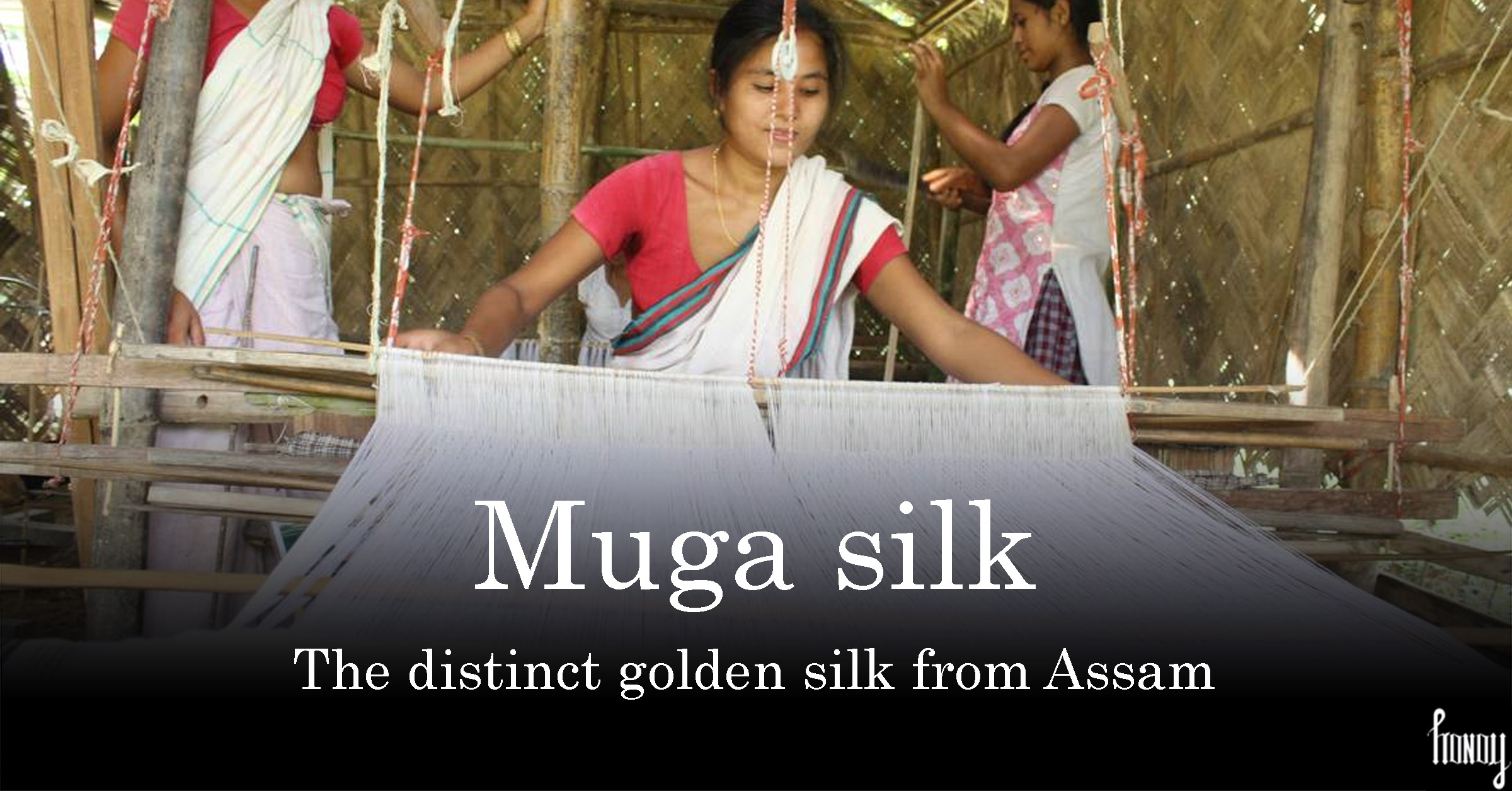 exotic golden Muga silk of Assam