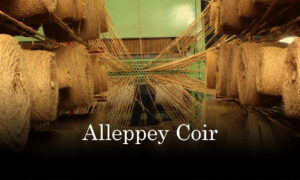 Alleppey Coir