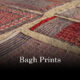 Bagh Prints